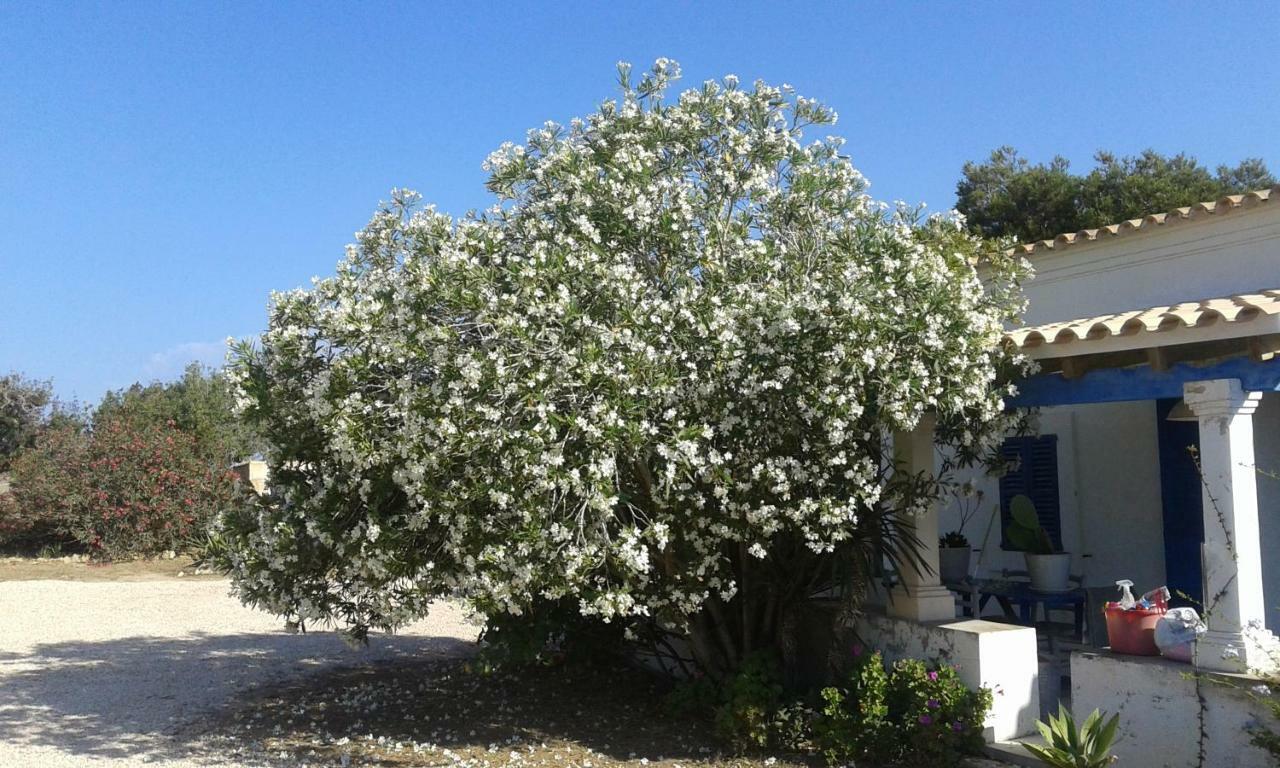 Can Gallet 1 San Francisco Javier Buitenkant foto